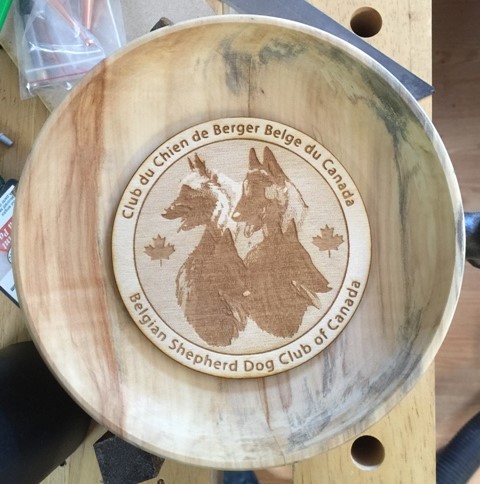 Belgian Bowl Trophy